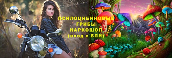 ALPHA PVP Алексин