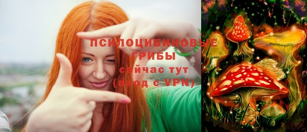 ALPHA PVP Алексин