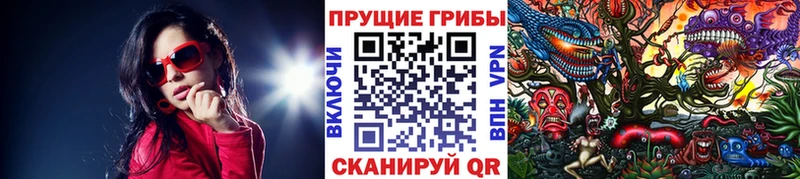 дарнет шоп  Стародуб  Галлюциногенные грибы мицелий 