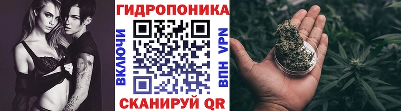 Бошки марихуана THC 21%  хочу   Стародуб 